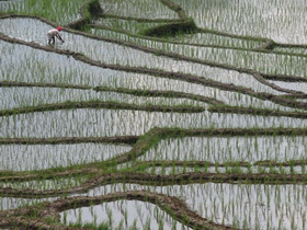 Indonesia1460_resize